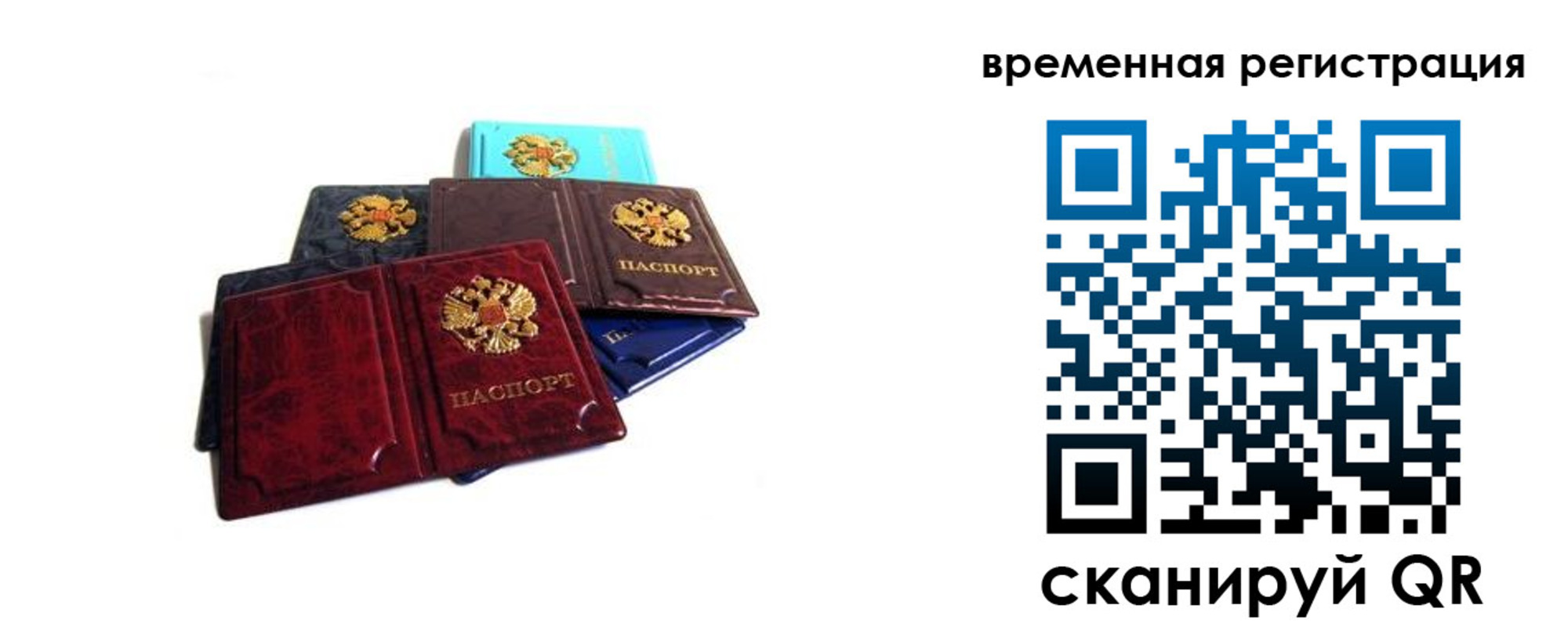 прописка гарантия в Городце